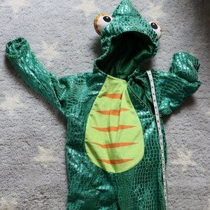 Chameleon Costume